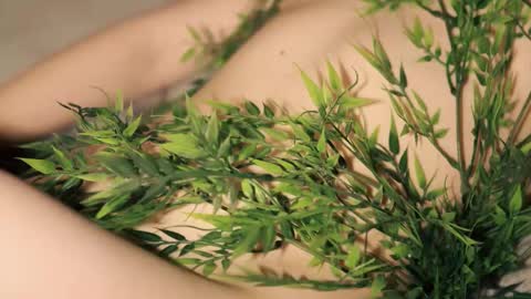 Snapshot of toshimori chatting on 12, 1, 2026 Toshi online show from 12, 1, 2026