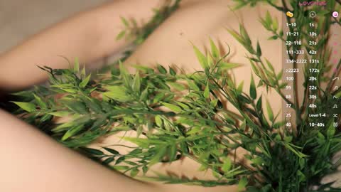 Toshi online show from 8, 3, 2026