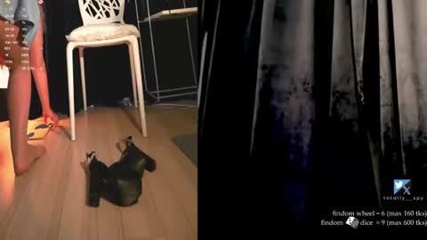 Snapshot of totally_spy chatting on 26, 6, 2026 Madam Viktoria Vacation in Portugal 2811 - 0412 online show from 26, 6, 2026