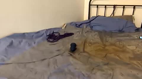 toxic2lust online show from 4, 3, 2026