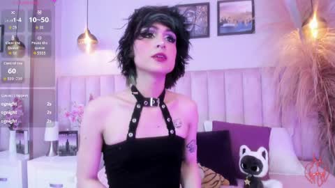 Tracy  online show from 7, 4, 2026