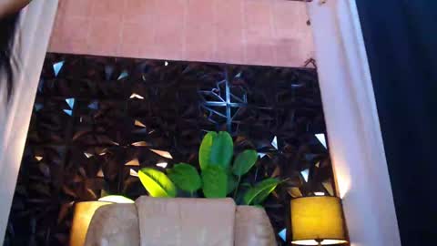 transpornidol online show from 14, 12, 2024