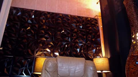 transpornidol online show from 15, 2, 2025