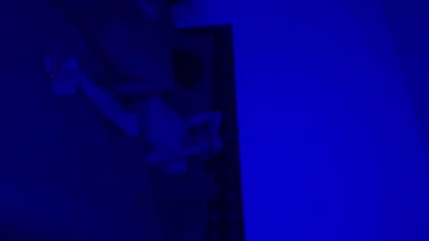 TrophyTroy online show from 5, 3, 2025