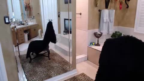 Trophy Wifey  iframe src height528 width850 s online show from 19, 2, 2026