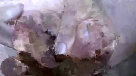 troy1965 online show from 21, 4, 2026