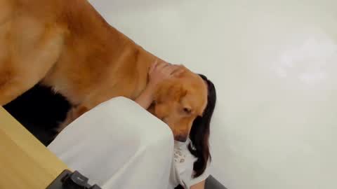 Snapshot of ts_danielahugecock_xxx chatting on 31, 12, 2024 ts_danielahugecock_xxx online show from 31, 12, 2024