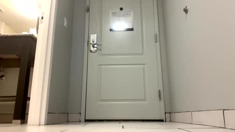 Queen Orleans online show from 14, 1, 2025