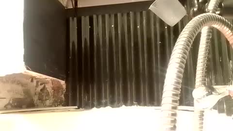 Snapshot of tweak_n_throb chatting on 9, 1, 2025 Tweaking Masturbation Addict online show from 9, 1, 2025