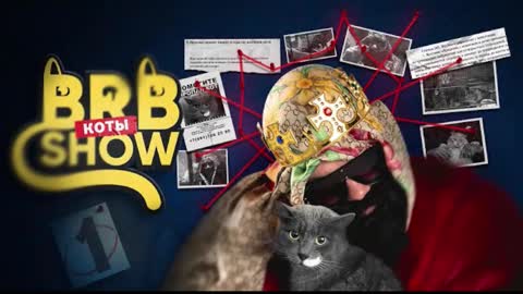 Angus online show from 3, 11, 2025