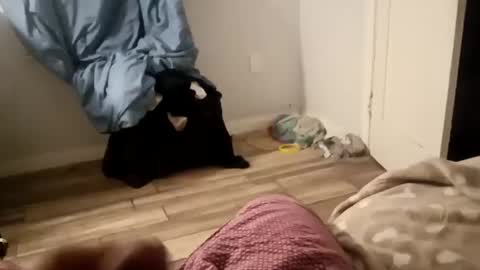 twest84 online show from 14, 9, 2025