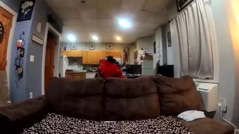 Snapshot of twicethetease2 chatting on 8, 2, 2026 twicethetease2 online show from 8, 2, 2026