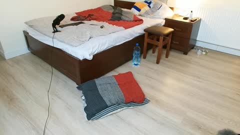 Vicky  Victor online show from 12, 12, 2024