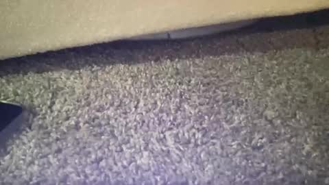 twinkgabe online show from 16, 2, 2026