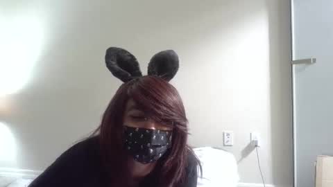 twinkyteddy online show from 8, 10, 2025