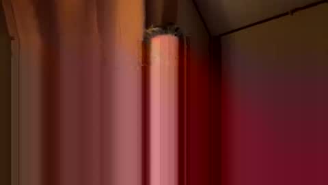 Snapshot of twosmallholes42 chatting on 1, 3, 2026 twosmallholes42 online show from 1, 3, 2026