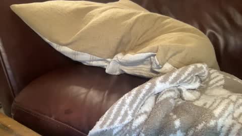 ty223222 online show from 6, 2, 2025