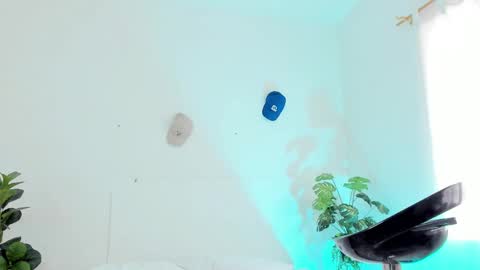 Tyler online show from 27, 2, 2025