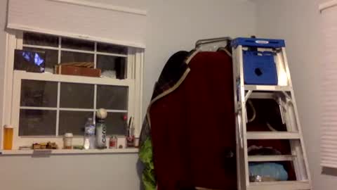 Tyler Durden online show from 17, 2, 2025