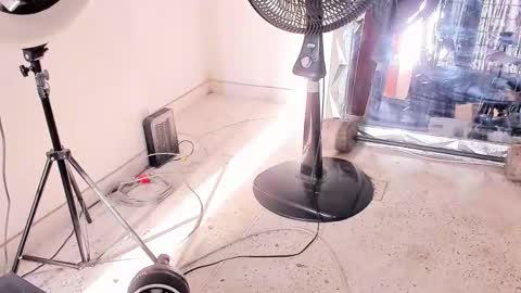 Dvid Rullers online show from 14, 12, 2025