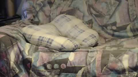 Helena and Tyson online show from 25, 4, 2026