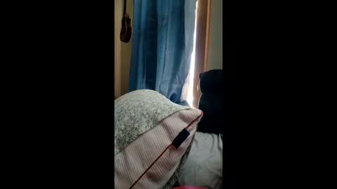 Snapshot of ummm1212 chatting on 1, 3, 2026 ummm1212 online show from 1, 3, 2026