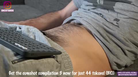 Snapshot of uncutgerman420 chatting on 19, 12, 2024 Mister Uncut online show from 19, 12, 2024