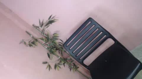 unknown_trans18 online show from 5, 4, 2026