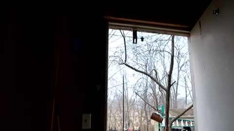 Snapshot of upforanything27 chatting on 25, 12, 2024 upforanything27 online show from 25, 12, 2024