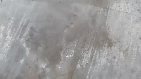 urdreamboy_clarin online show from 21, 4, 2026