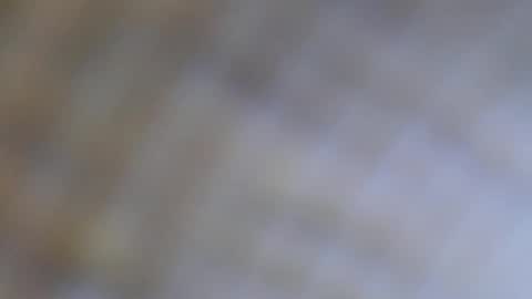 Snapshot of urlatino_rey chatting on 4, 10, 2025 urlatino_rey online show from 4, 10, 2025