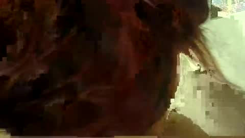 Aniie online show from 11, 1, 2026