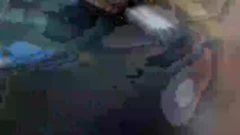 fiona online show from 29, 1, 2025