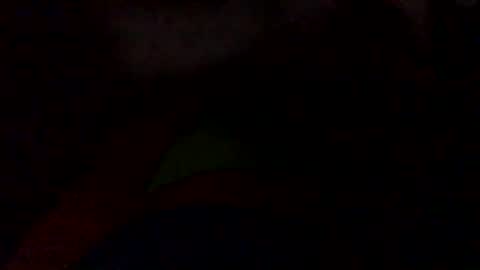 Snapshot of user1110047 chatting on 10, 10, 2025 user1110047 online show from 10, 10, 2025