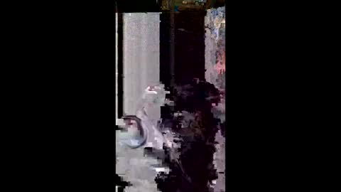 Snapshot of user18675309 chatting on 8, 3, 2026 user18675309 online show from 8, 3, 2026