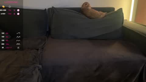 Snapshot of vaiee chatting on 20, 2, 2025 Valery online show from 20, 2, 2025