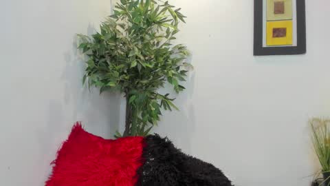 Snapshot of valeri_tafur chatting on 12, 11, 2025 valeri_tafur online show from 12, 11, 2025