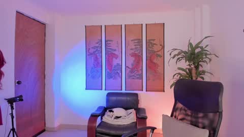      online show from 21, 1, 2025