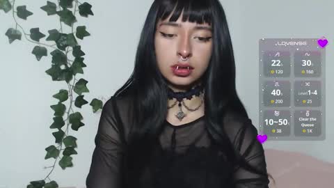 vamp online show from 28, 3, 2026