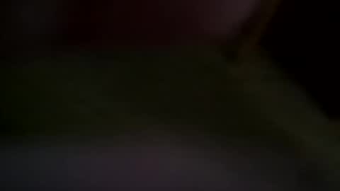 vamplife4eva online show from 1, 4, 2026