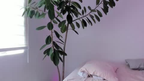 Snapshot of vandalovee chatting on 2, 7, 2026 Babi Alu online show from 2, 7, 2026