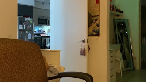 Snapshot of vanessapark chatting on 5, 1, 2025 Vanessa  online show from 5, 1, 2025
