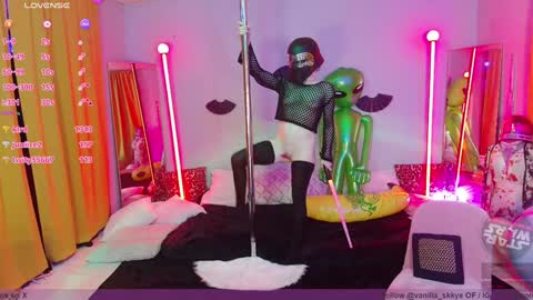 Snapshot of vanilla_skkye chatting on 17, 12, 2024 Skkye online show from 17, 12, 2024