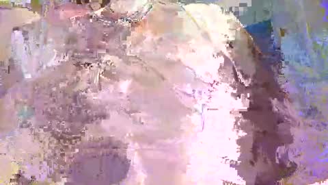 velvetroulette online show from 30, 10, 2025