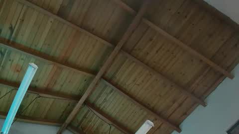 VENUS online show from 29, 11, 2025