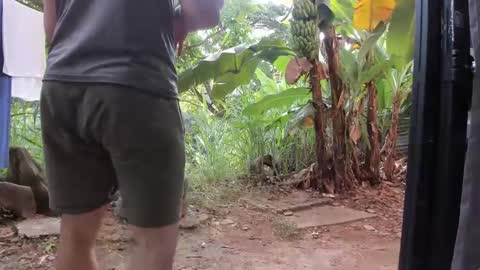 Snapshot of venusandzeus chatting on 20, 1, 2025 venus ... zeus sheer online show from 20, 1, 2025