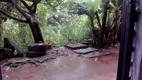 Snapshot of venusandzeus chatting on 27, 10, 2025 venus ... zeus sheer online show from 27, 10, 2025