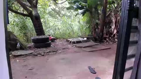 Snapshot of venusandzeus chatting on 16, 12, 2025 venus ... zeus sheer online show from 16, 12, 2025