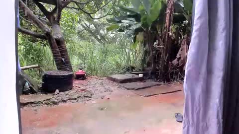 Snapshot of venusandzeus chatting on 13, 1, 2026 venus ... zeus sheer online show from 13, 1, 2026