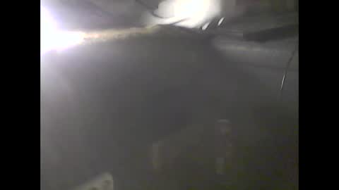 Im DanielVerdo  25 years old Lets have Fun and just ask what wanne know   tnew anal bigock cum  slave  fullnaked online show from 9, 1, 2025